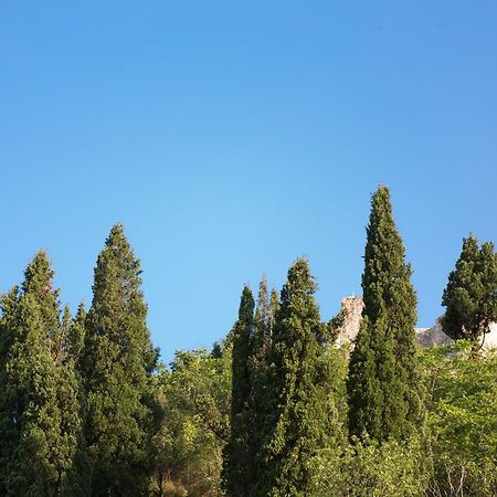 Vasiliki Apartment Virpazar Exterior foto
