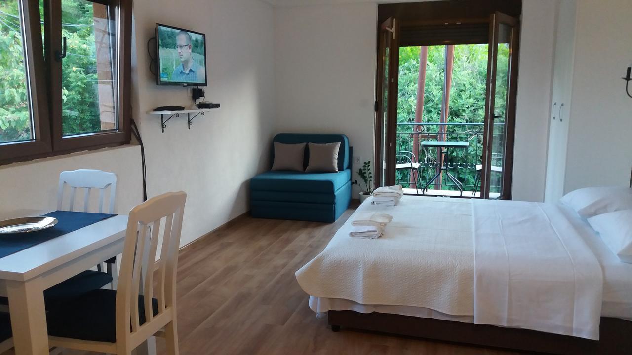 Vasiliki Apartment Virpazar Exterior foto